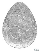 ไข่ หน้าสีที่พิมพ์ได้